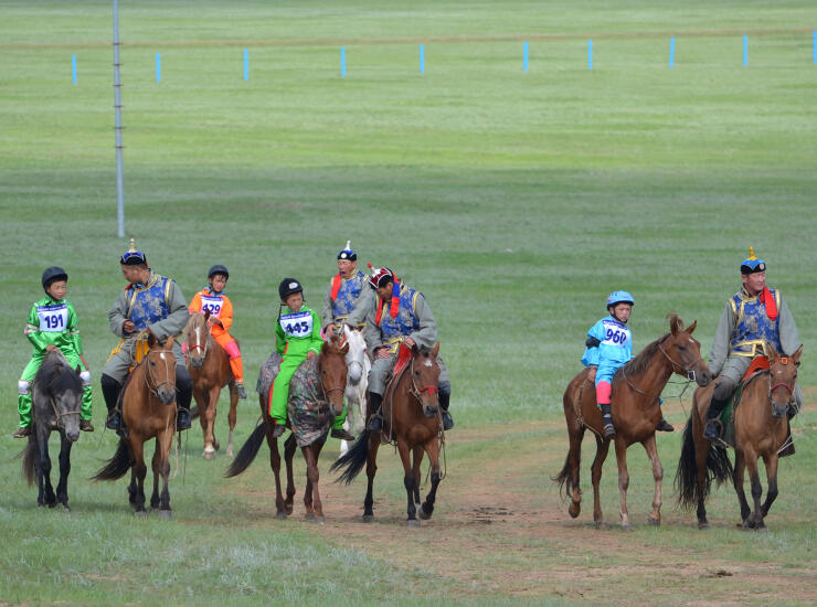 Child jockeys in numbered bibs on horseback with their adult trainers before Naadam
                         horse racing, on a green grassy field.